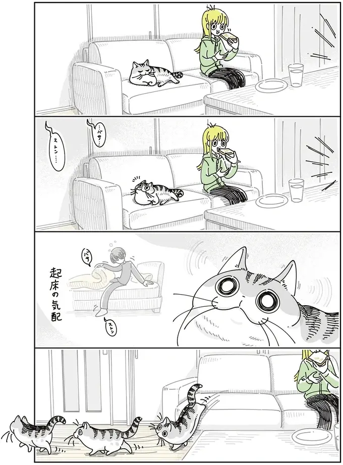 猫が飼い主の起床の気配を察知。なかなかやってこないと...かわいい！／夜は猫といっしょ8（3）