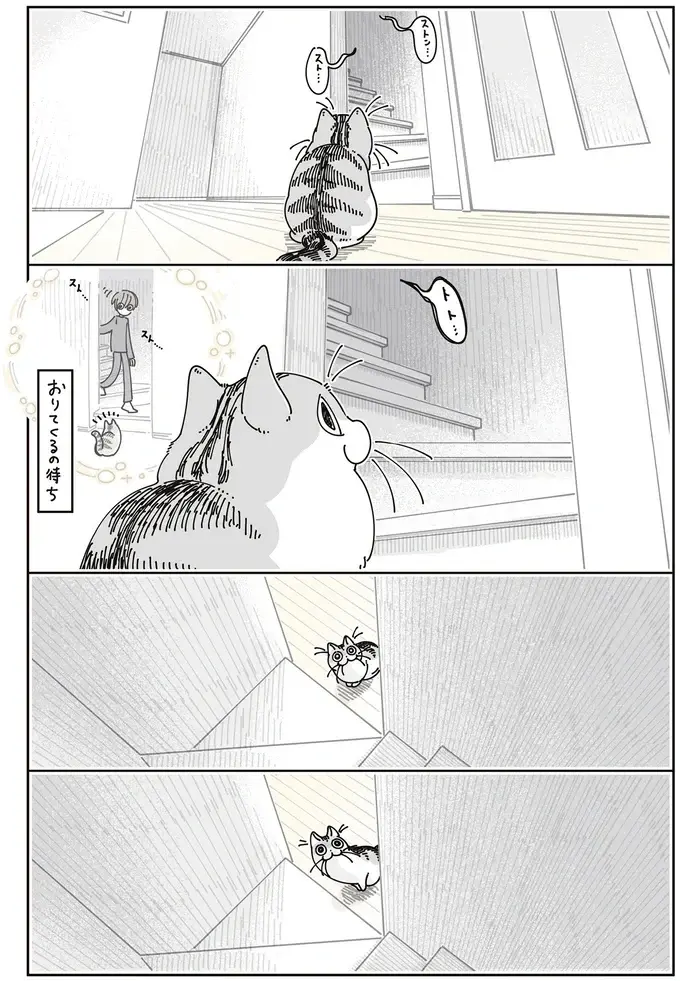 猫が飼い主の起床の気配を察知。なかなかやってこないと...かわいい！／夜は猫といっしょ8（4）