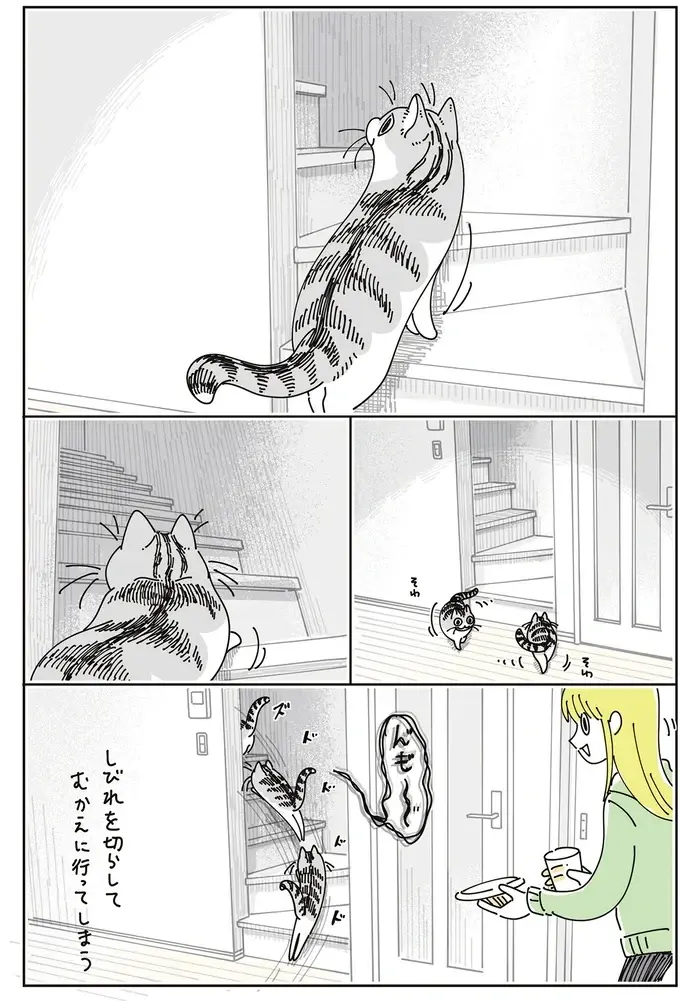 猫が飼い主の起床の気配を察知。なかなかやってこないと...かわいい！／夜は猫といっしょ8（5）