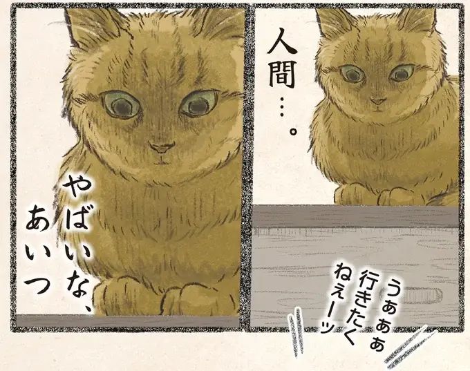 「仕事やだぁぁぁー!!」月曜の朝、駄々をこねる飼い主を見てネコ様ドン引き／今日もネコ様の圧が強い2（1）