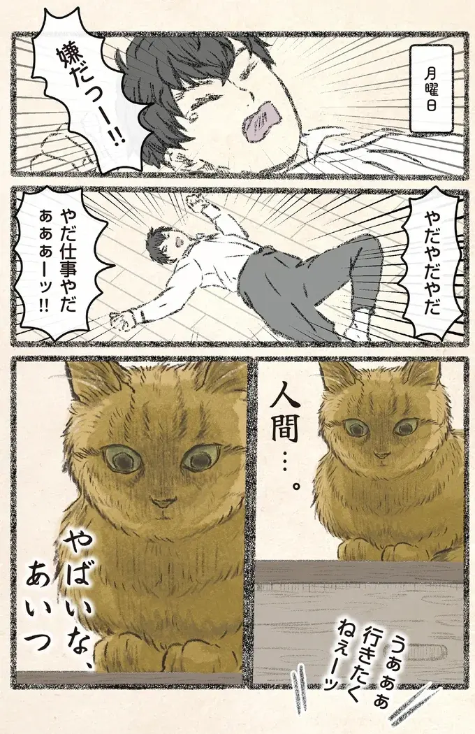 「仕事やだぁぁぁー!!」月曜の朝、駄々をこねる飼い主を見てネコ様ドン引き／今日もネコ様の圧が強い2（2）