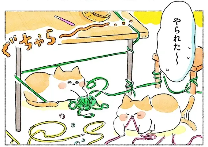 毛糸をネコたちから守るために。編み物道具を収納するグッズ選びも楽しい！／かぎ針編みはじめました（1）