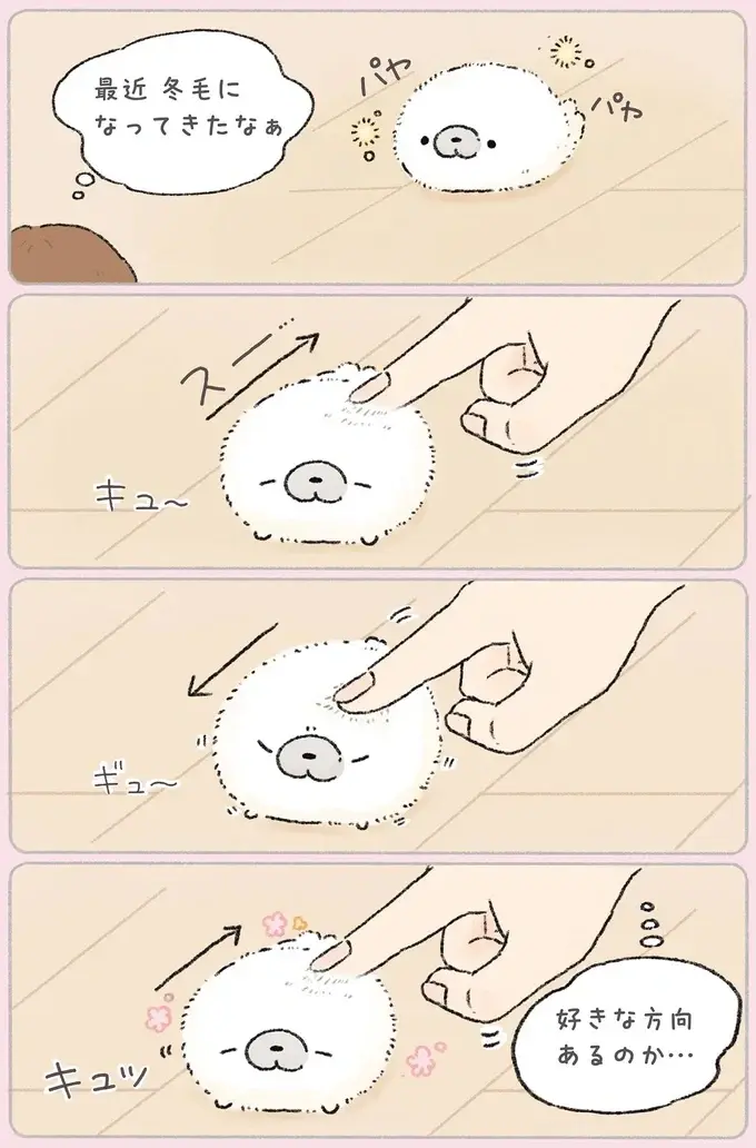 『ちょこんとあざらし』（8）