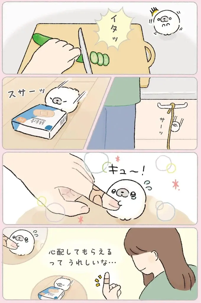 『ちょこんとあざらし』（10）