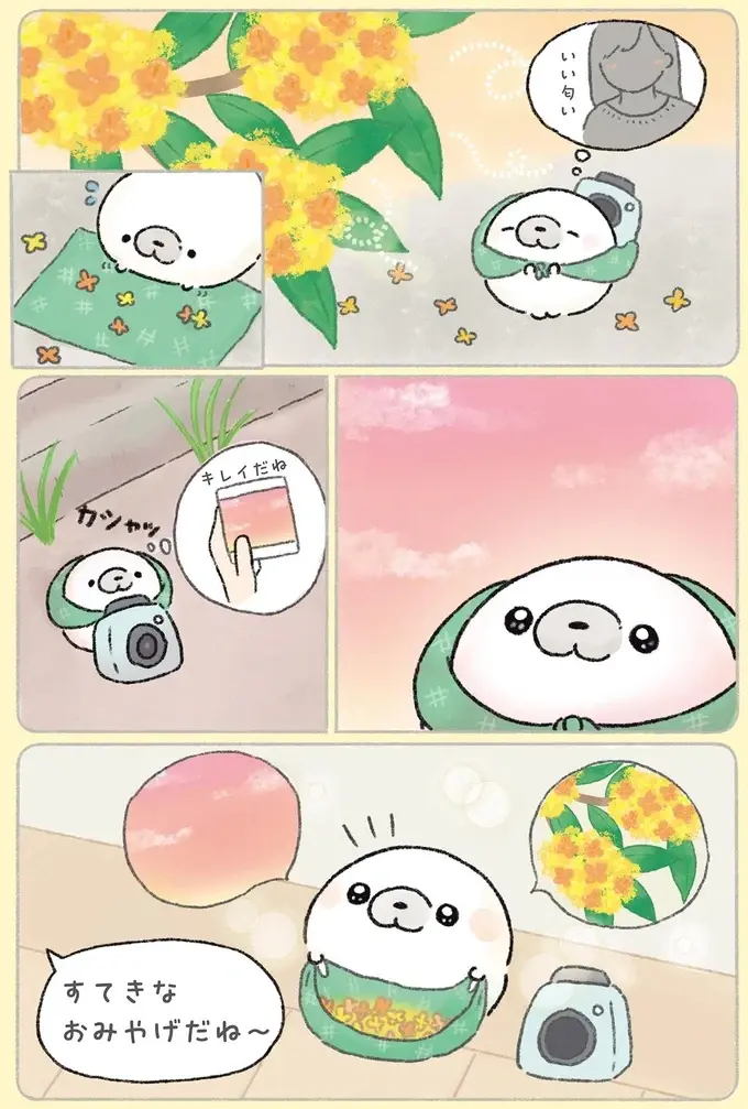 『ちょこんとあざらし』（12）