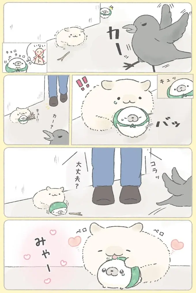 『ちょこんとあざらし』（13）