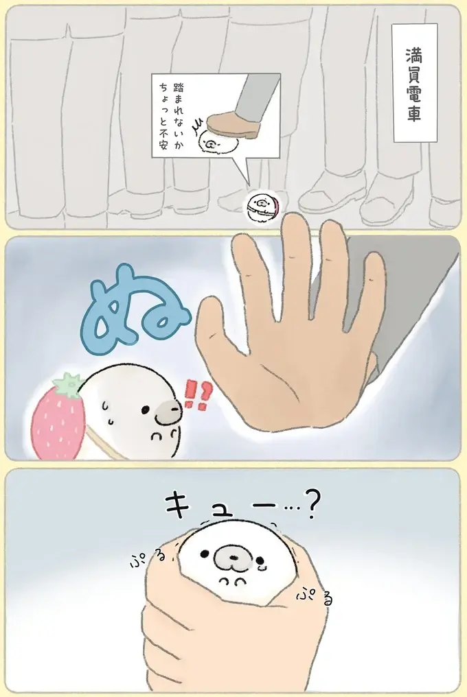 『ちょこんとあざらし』（16）