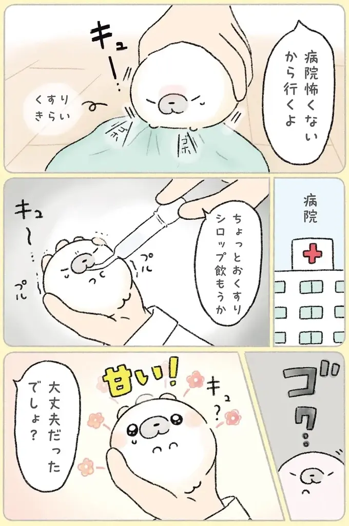 『ちょこんとあざらし』（19）