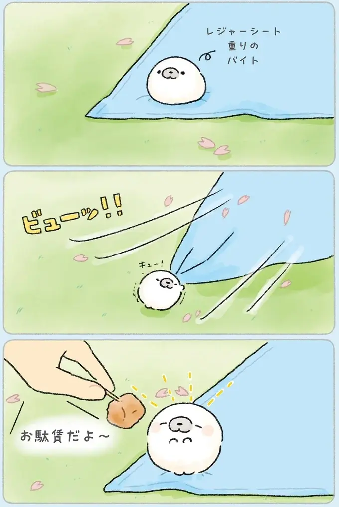 『ちょこんとあざらし』（21）