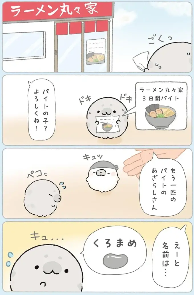 『ちょこんとあざらし』（24）