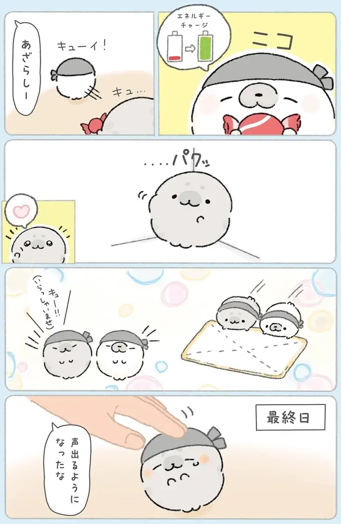 『ちょこんとあざらし』（26）