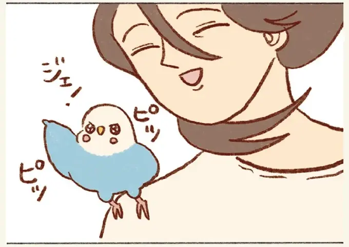 気分は探検家！ めったに行かない2階探索でインコが大興奮！／プジェ日記！ （1）
