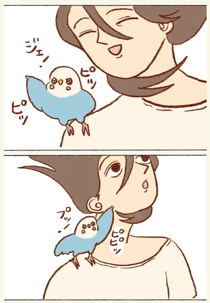 気分は探検家！ めったに行かない2階探索でインコが大興奮！／プジェ日記！ （5）