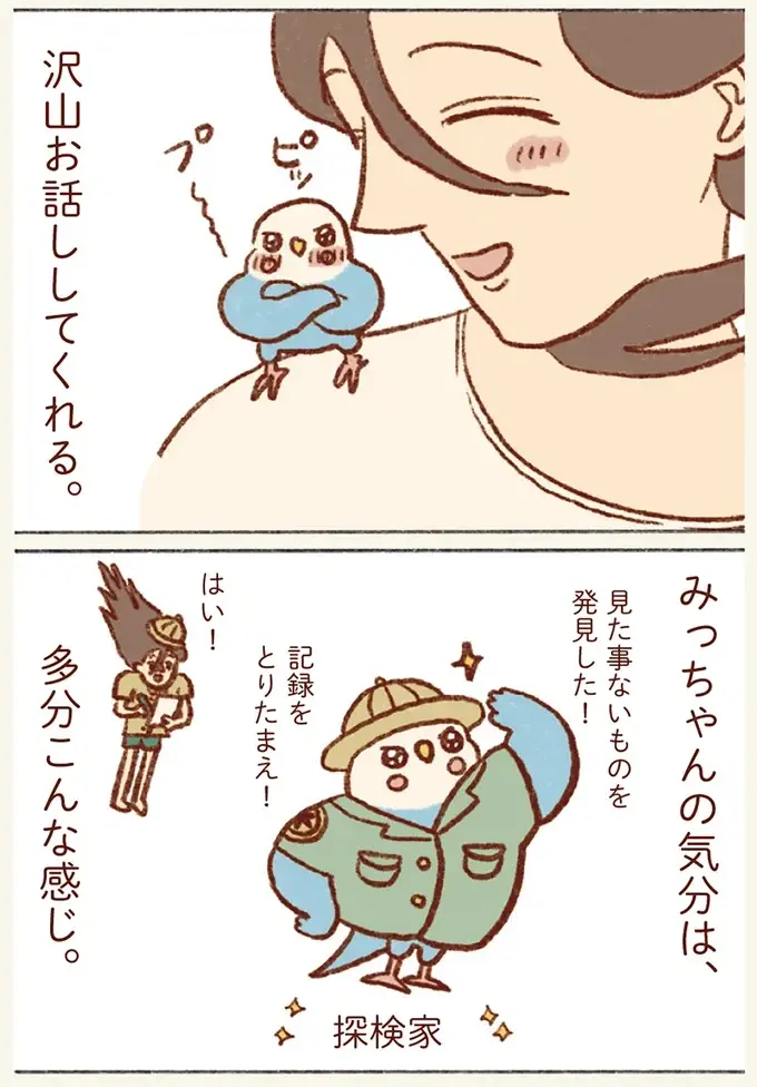 気分は探検家！ めったに行かない2階探索でインコが大興奮！／プジェ日記！ （6）