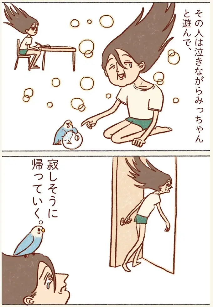 忙しい時に現れる「もうインコと遊べない未来の私」。仕事よりも遊んであげなきゃ！／プジェ日記！ （4）