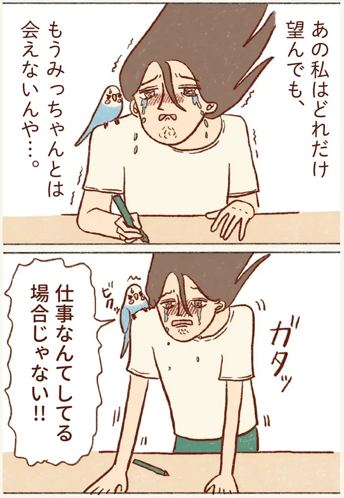忙しい時に現れる「もうインコと遊べない未来の私」。仕事よりも遊んであげなきゃ！／プジェ日記！ （5）