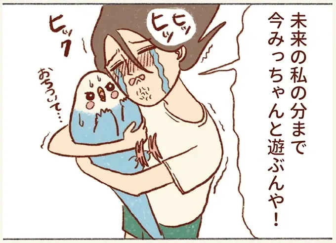 忙しい時に現れる「もうインコと遊べない未来の私」。仕事よりも遊んであげなきゃ！／プジェ日記！ （6）