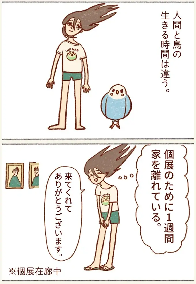 人間の10倍の速度で生きるインコ。7日も家を空けた私が大急ぎで帰ったら「あれ？」／プジェ日記！ （3）