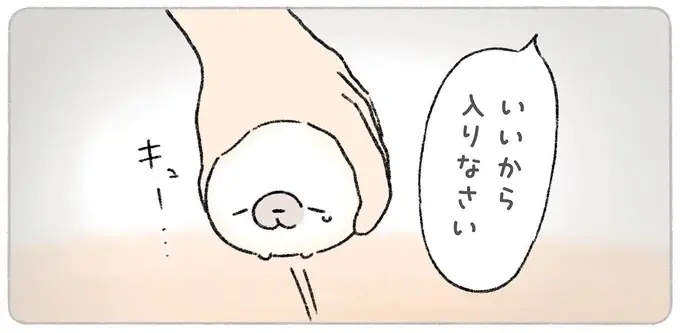 こうだったらいいのになぁ。お風呂がめんどくさいあざらしが考える理想の入浴／ちょこんとあざらし（1）