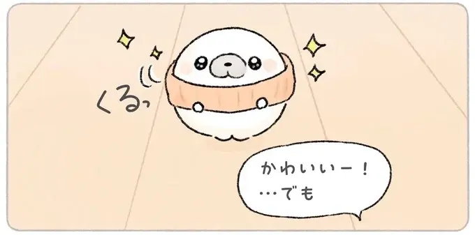 「寒いから買ってみたよ」あざらしがネックウォーマーだと喜んだのに、実は...!?／ちょこんとあざらし（1）