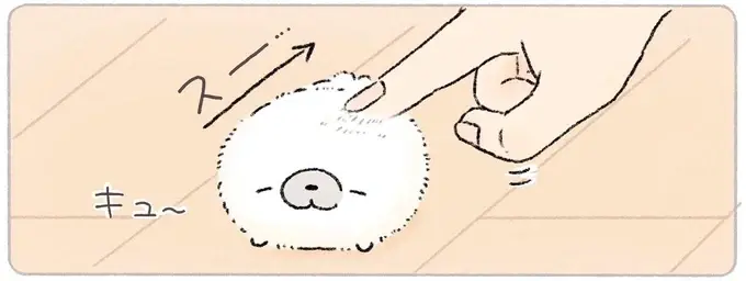 パヤパヤ冬毛になってきたあざらしを触ってみてわかったこと／ちょこんとあざらし（1）