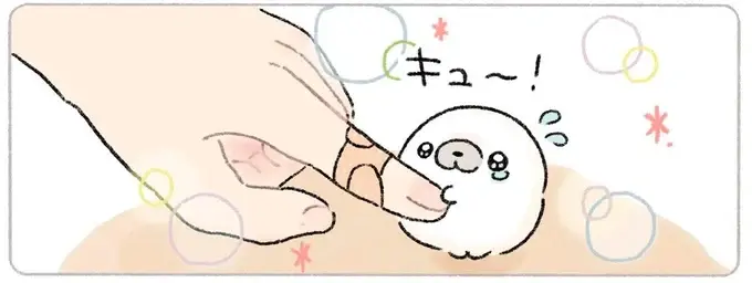 料理中に指を切っちゃった！ それを見たあざらしは...おひとりさまが涙する嬉しさ／ちょこんとあざらし（1）