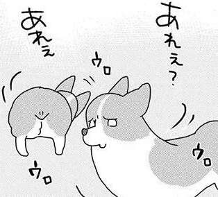 乾くまで近くでじっと...ワンコの「お気に入り」を洗うと？／あしょんでよッ8（1）