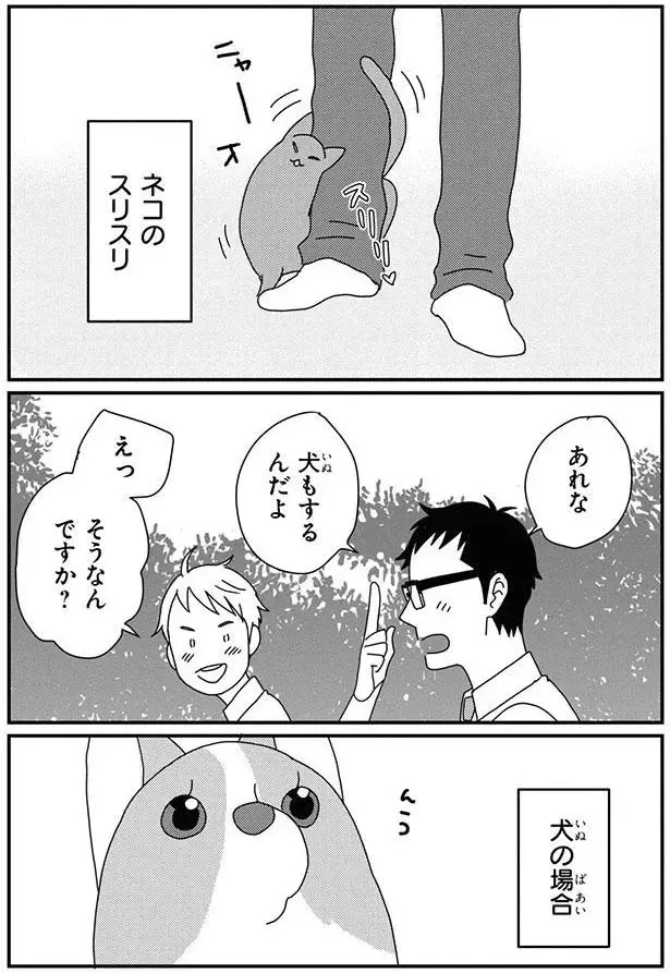 愛犬コーギーとのやかましく愛しい毎日。物音で、着信で、地震で「ワンワン！」／あしょんでよッ8（2）