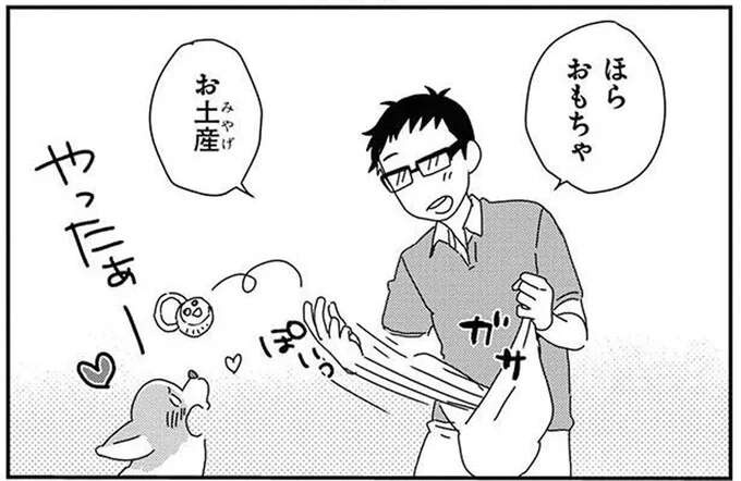 なぜ犬はそっちを選ぶのか。愛犬コーギーが選んだおもちゃは!?／あしょんでよッ8（1）