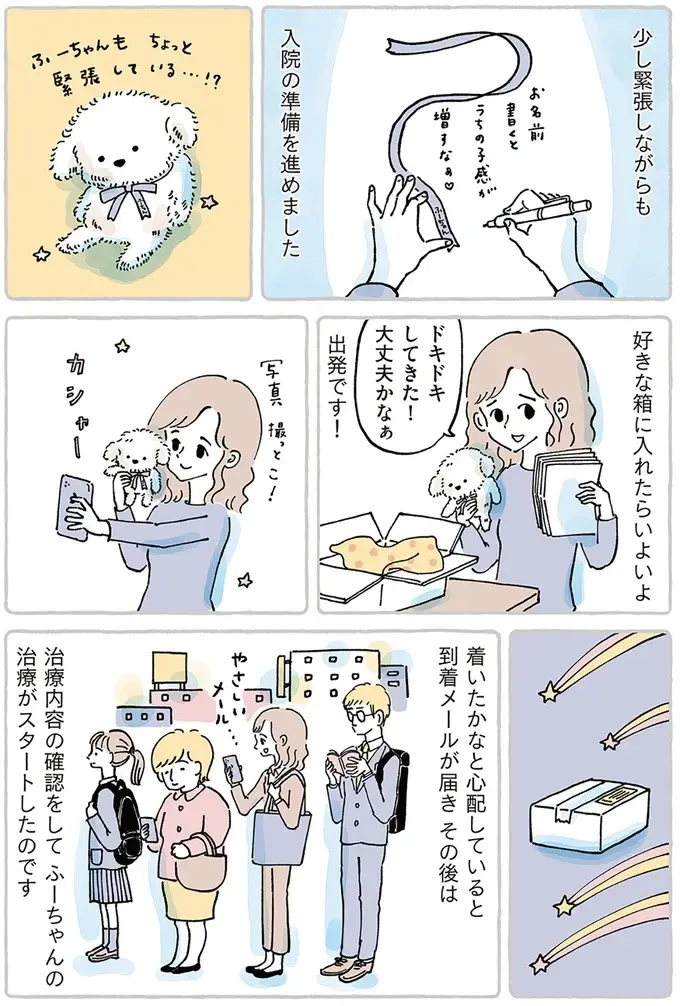 離れるのは寂しくて不安だけど。ずっと一緒だった大事な子を「ぬいぐるみ病院」へ／わたしのぬいぐるみさん（10）