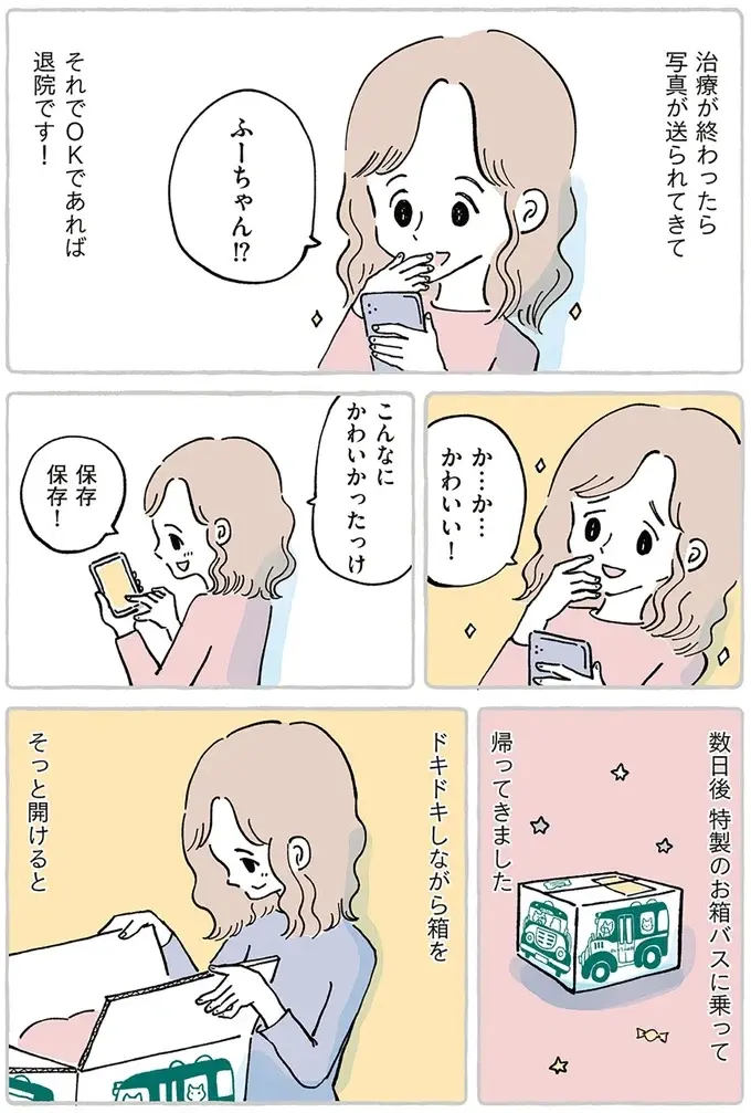 離れるのは寂しくて不安だけど。ずっと一緒だった大事な子を「ぬいぐるみ病院」へ／わたしのぬいぐるみさん（12）