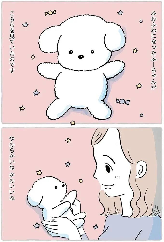 離れるのは寂しくて不安だけど。ずっと一緒だった大事な子を「ぬいぐるみ病院」へ／わたしのぬいぐるみさん（13）