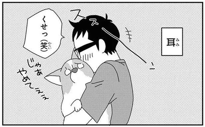 愛犬はシャンプーの後にタオルの上でゴロゴロ。賢くなった...次にして欲しいことは？／あしょんでよッ8（1）
