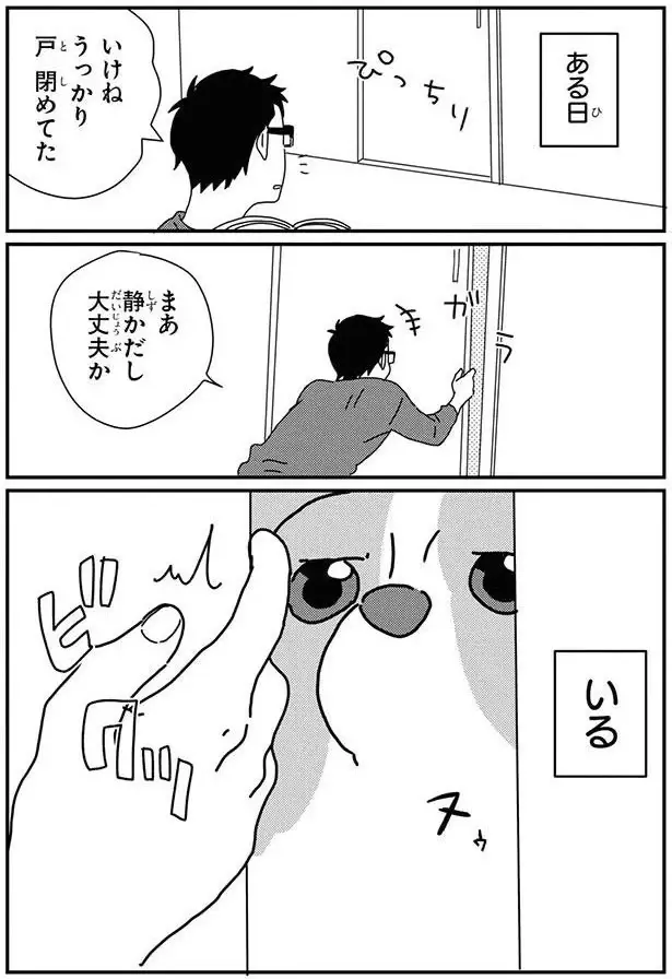 見えないのは嫌！ 愛犬の「飼い主ストーキング」が可愛すぎて／あしょんでよッ8（3）