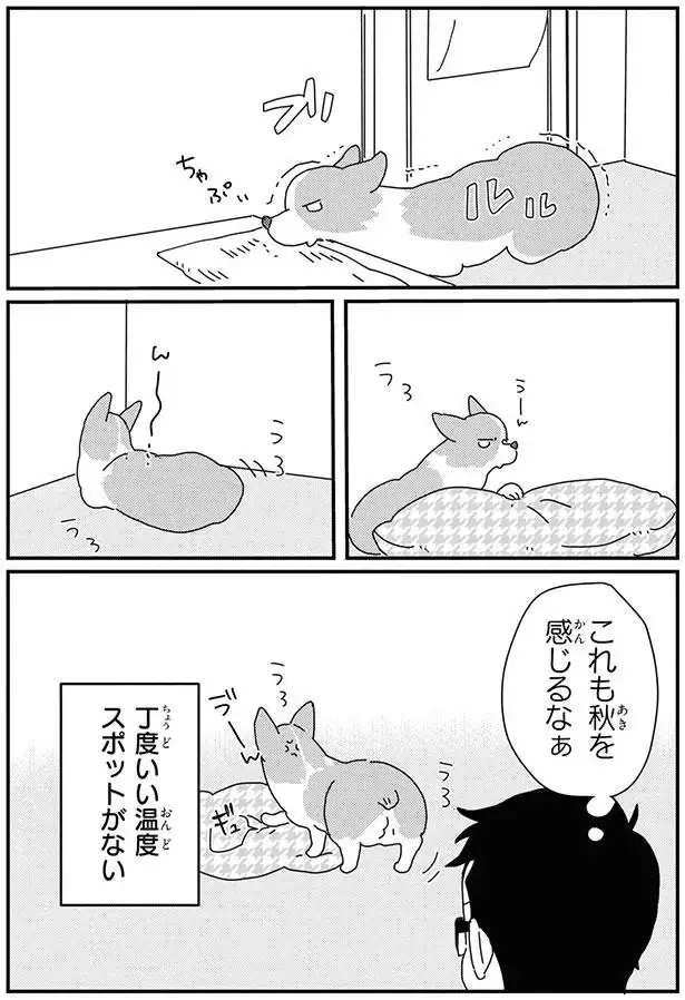 見えないのは嫌！ 愛犬の「飼い主ストーキング」が可愛すぎて／あしょんでよッ8（6）
