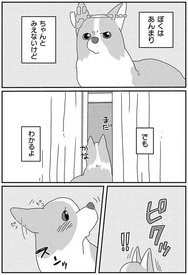 知らない犬と会ったでしょ！ 我が家の愛犬は浮気に敏感／あしょんでよッ8（6）