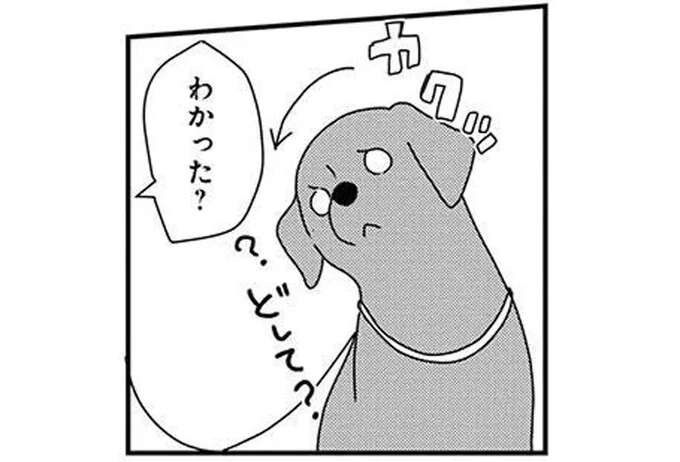 愛犬に「チョロい」と思われていそうな飼い主の行動。でもかわいいから...！／あしょんでよッ8（1）