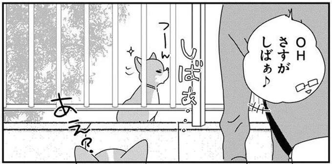 柴犬はこうでなくちゃ。飼い主以外にはツンツン...と思った翌日に「え？」／あしょんでよッ9（1）