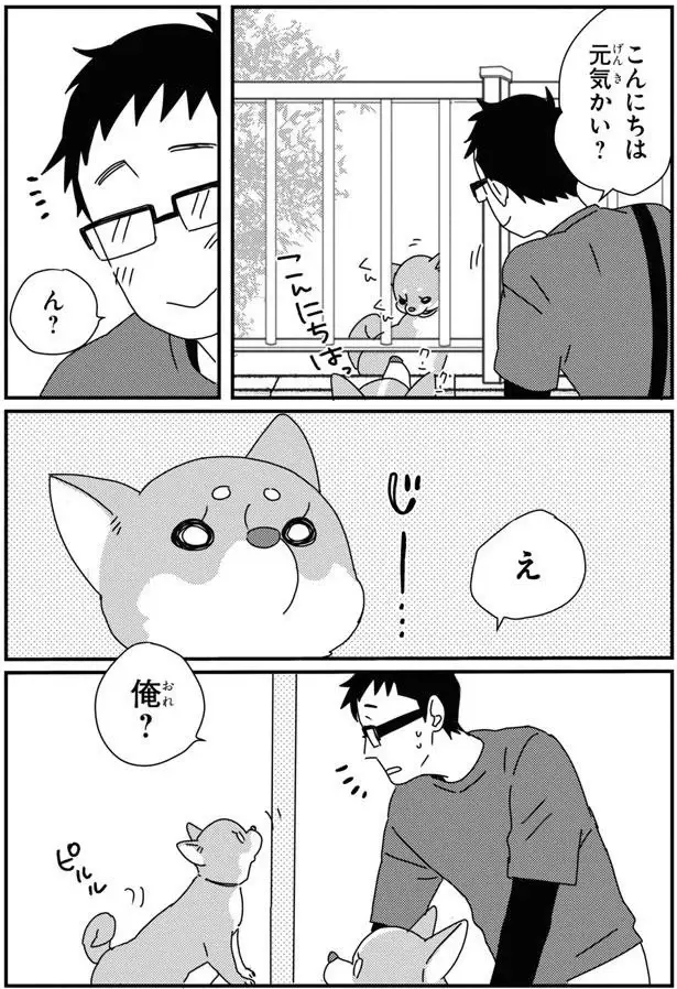 柴犬はこうでなくちゃ。飼い主以外にはツンツン...と思った翌日に「え？」／あしょんでよッ9（5）