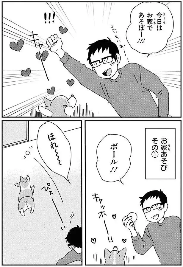「ワンコと雨の日のおうち遊び」でありがちなこと。夢中になりすぎて...え？／あしょんでよッ9（3）