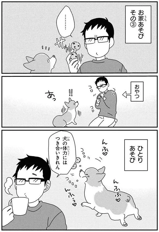「ワンコと雨の日のおうち遊び」でありがちなこと。夢中になりすぎて...え？／あしょんでよッ9（7）