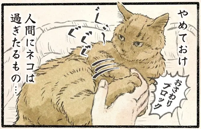 「人間にネコは過ぎたるもの」機嫌がいいから触らせてやってもいいが...／今日もネコ様の圧が強い2（1）