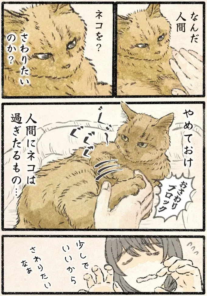 「人間にネコは過ぎたるもの」機嫌がいいから触らせてやってもいいが...／今日もネコ様の圧が強い2（3）