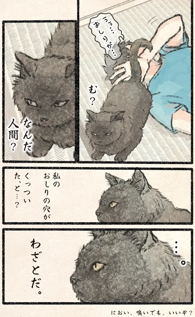 「におい嗅いでもいいぞ」ネコ様の無言アピール。眠る飼い主の顔面に...!?／今日もネコ様の圧が強い2（3）