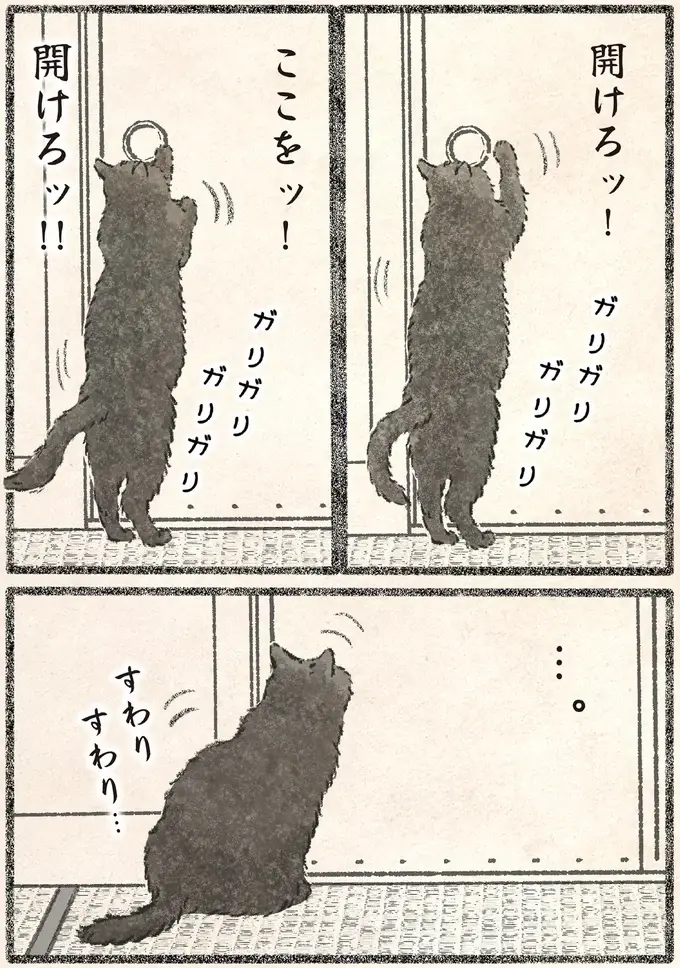 「とても便利だ」ネコ様による「自動ドア」の使い方。ポイントは...？／今日もネコ様の圧が強い2（2）