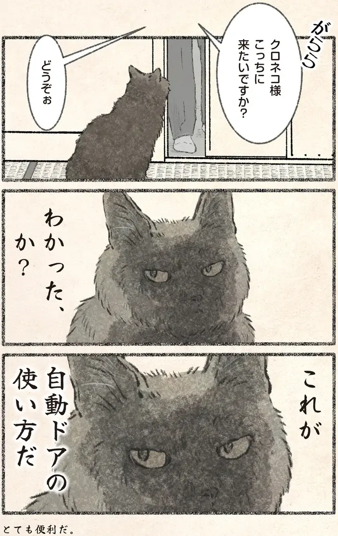 「とても便利だ」ネコ様による「自動ドア」の使い方。ポイントは...？／今日もネコ様の圧が強い2（3）