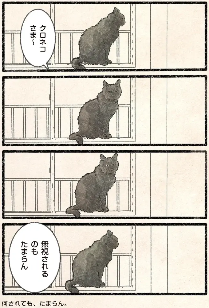 「とても便利だ」ネコ様による「自動ドア」の使い方。ポイントは...？／今日もネコ様の圧が強い2（5）