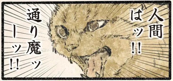 襲われたッ！ 見回り中のネコ様を飼い主がすれ違いざまに...!?／今日もネコ様の圧が強い2（1）
