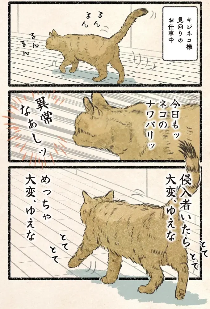 襲われたッ！ 見回り中のネコ様を飼い主がすれ違いざまに...!?／今日もネコ様の圧が強い2（2）