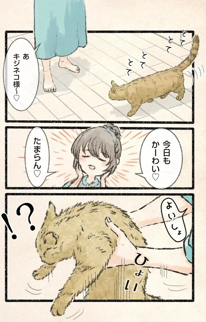 襲われたッ！ 見回り中のネコ様を飼い主がすれ違いざまに...!?／今日もネコ様の圧が強い2（3）